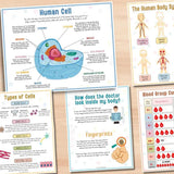 🔥HOT SALE 49%OFF🎁Body Organs Busy Book For Kids