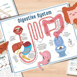 🔥HOT SALE 49%OFF🎁Body Organs Busy Book For Kids