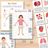 🔥HOT SALE 49%OFF🎁Body Organs Busy Book For Kids